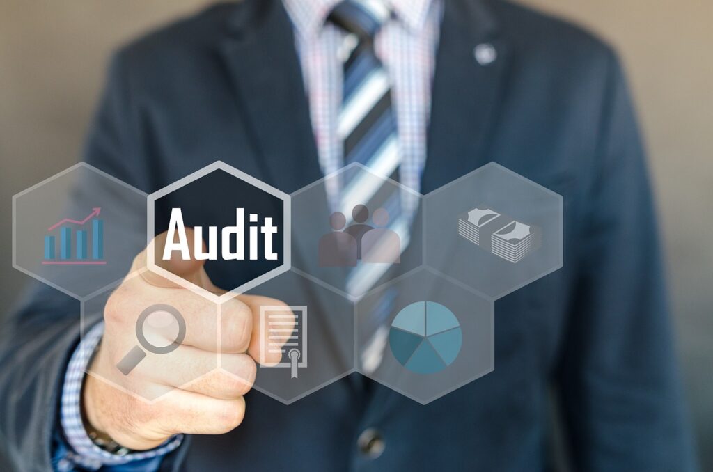 Auditor financiero